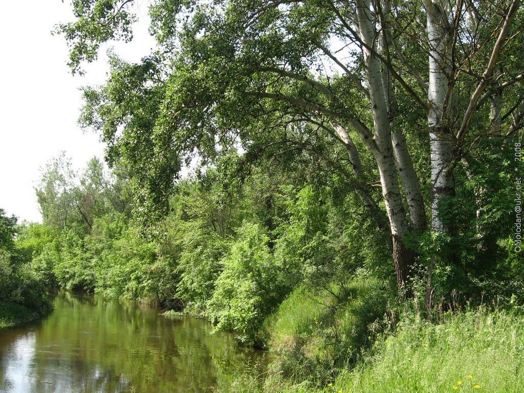 Бабайківка з panoramio.com - Бабайковка