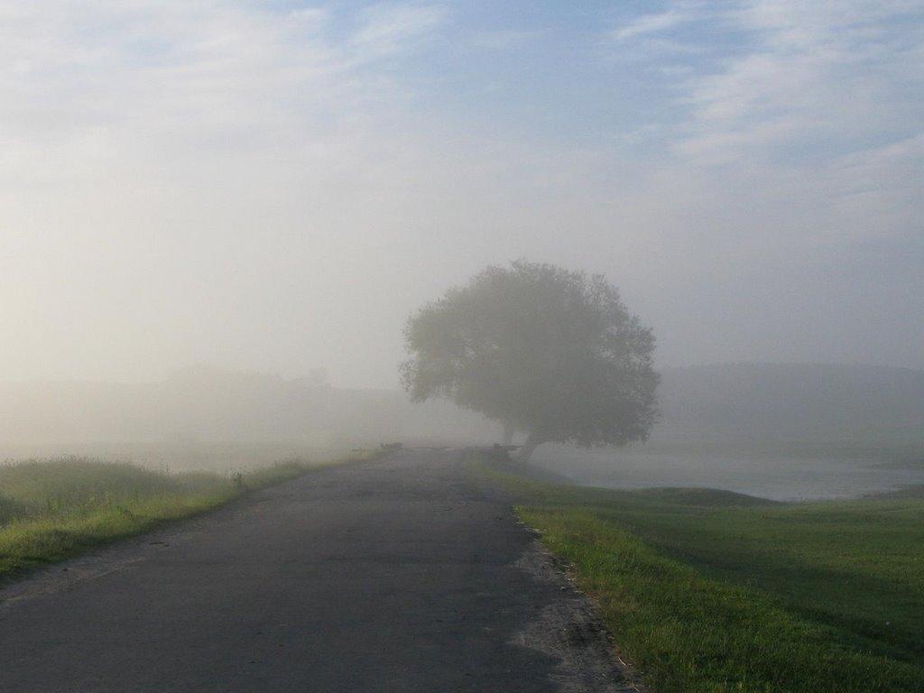 Звіздівка з panoramio.com - Звіздівка
