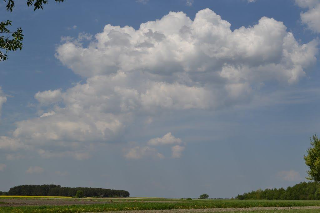 Облапи з panoramio.com - Облапы