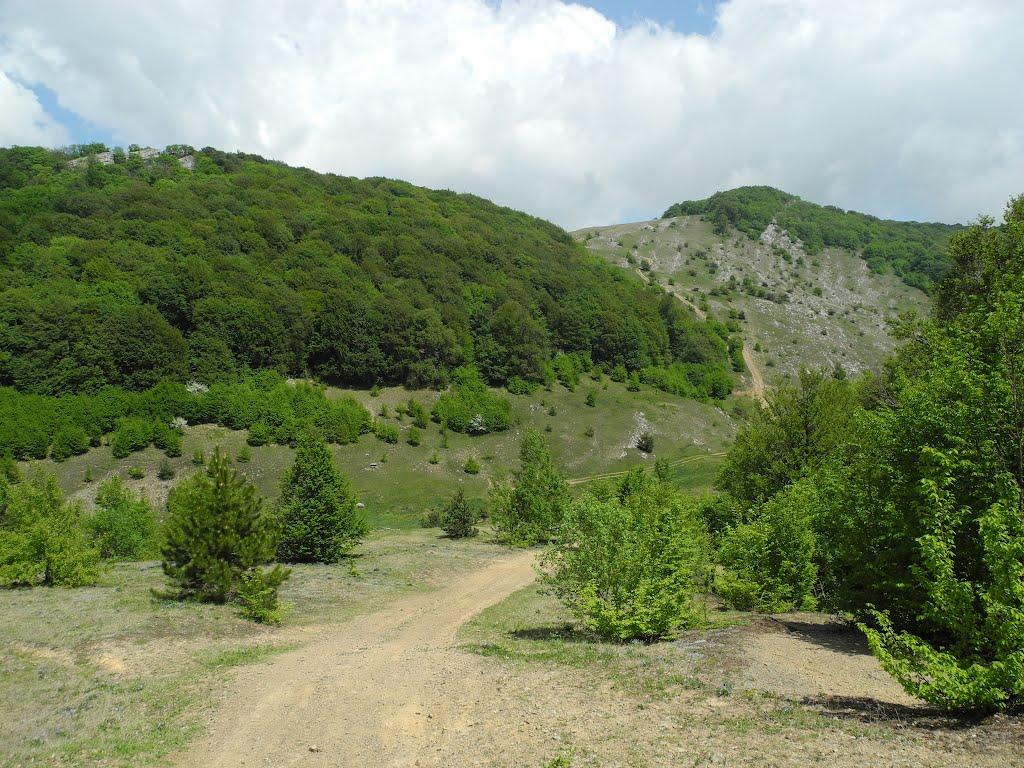 Генеральське з panoramio.com (ч.3) - Generalske