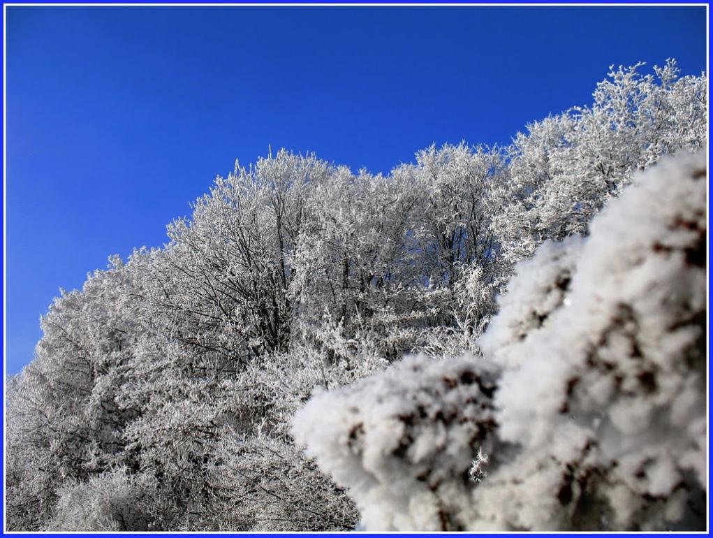 Букачівці з panoramio.com - Букачівці