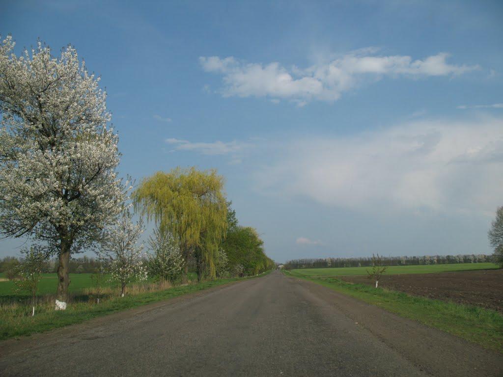 Велика Севастянівка з panoramio.com - Velyka Sevastyanivka