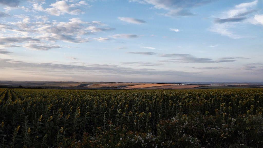 Дмитрівка з panoramio.com - Дмитровка
