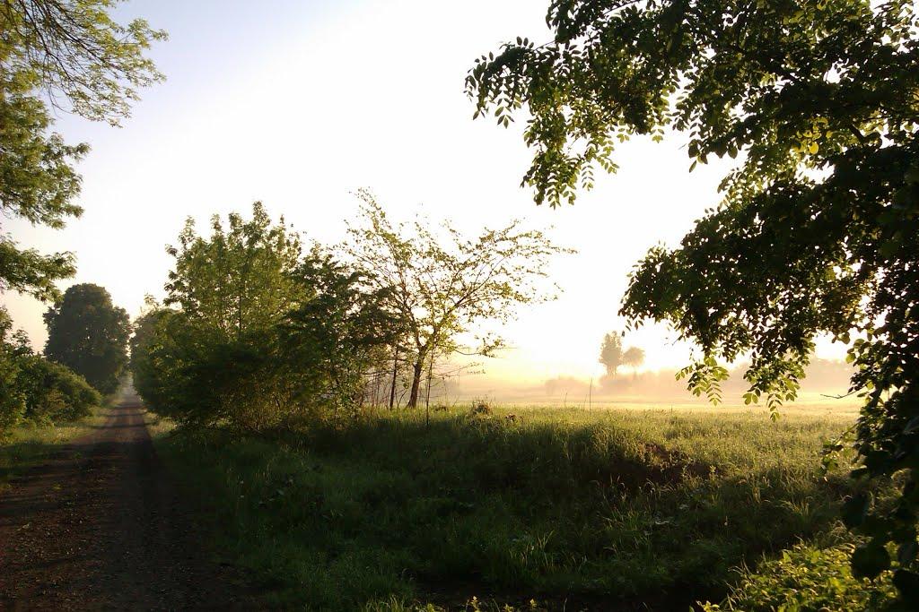 Скварява з panoramio.com - Skvaryava