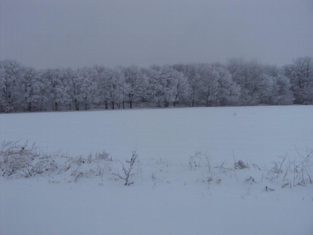 Леськівка з panoramio.com - Леськівка