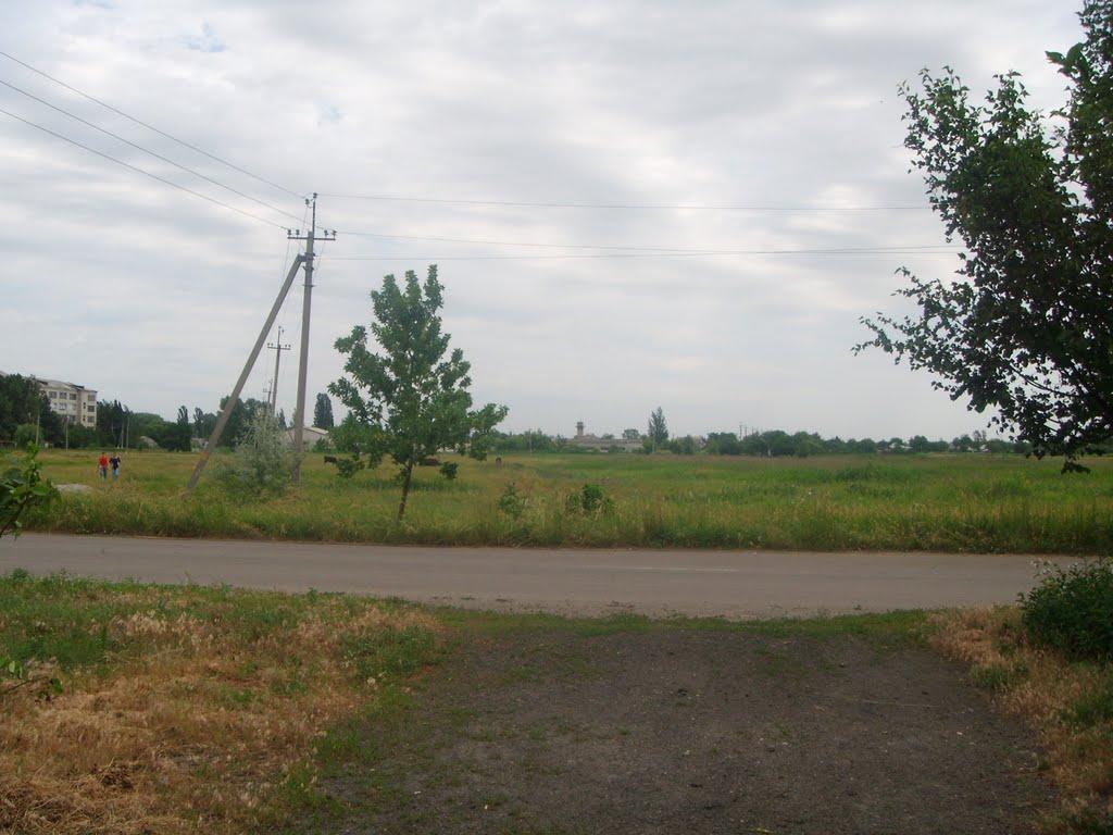 Петропавлівка з panoramio.com - Петропавлівка