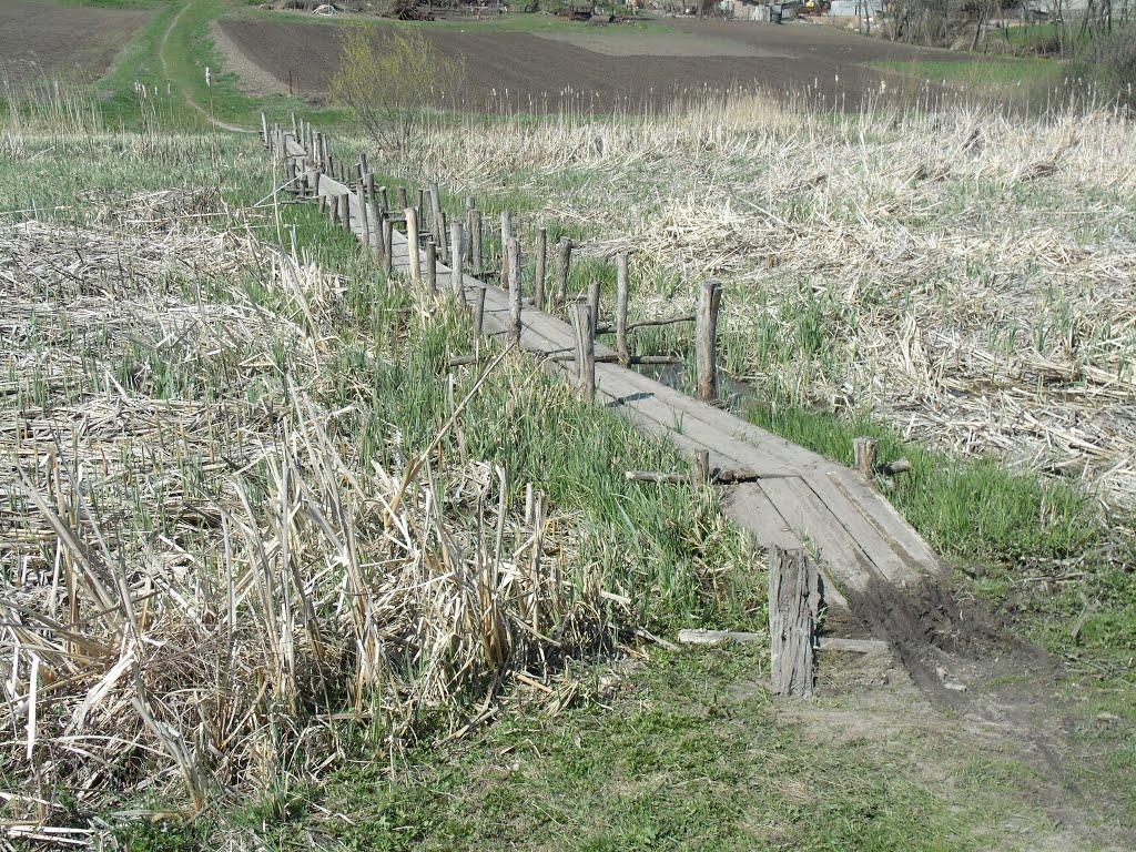 Рівне з panoramio.com - Рівне