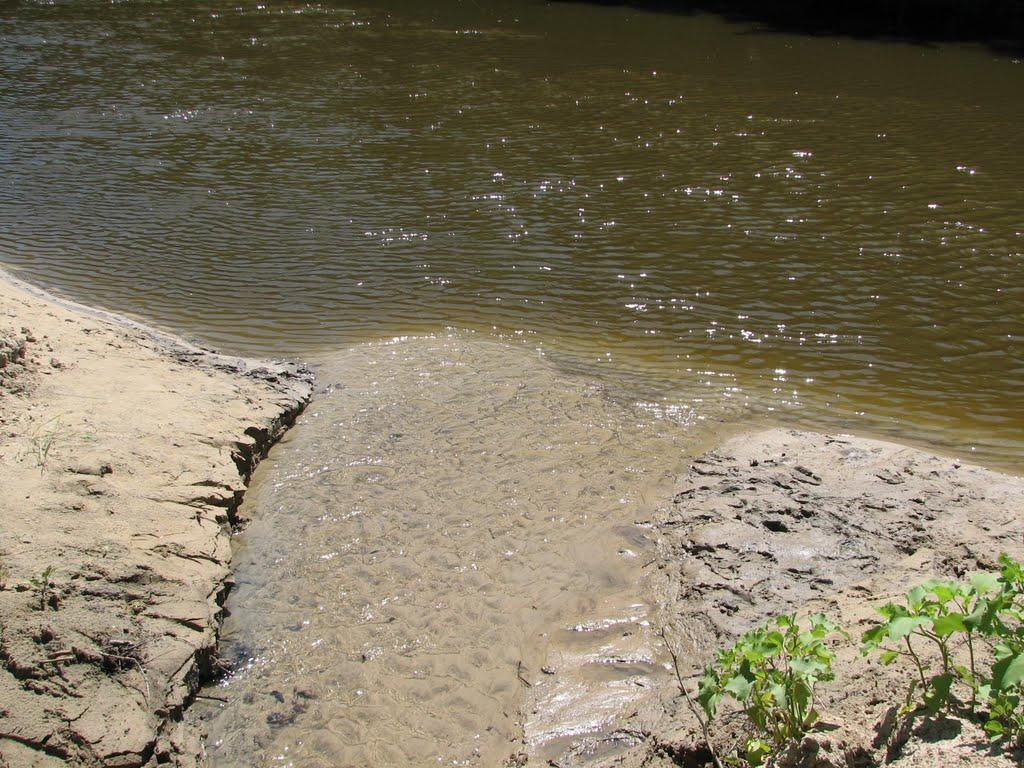 Підлісне з panoramio.com - Підлісне