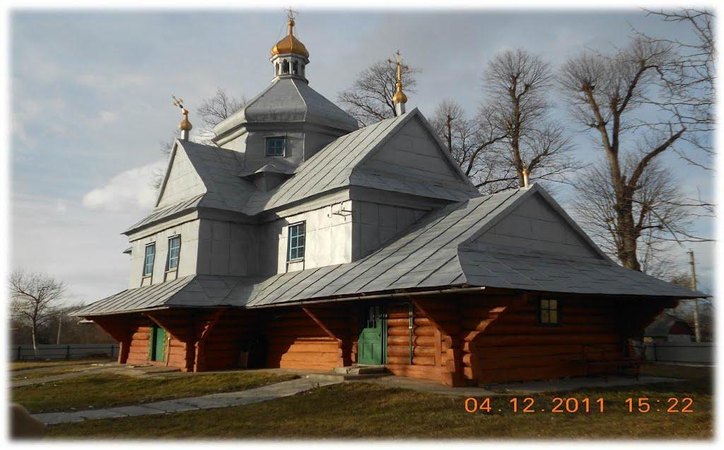 Ворона з panoramio.com - Ворона