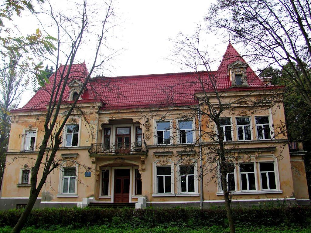 Малинів з panoramio.com - Малинів