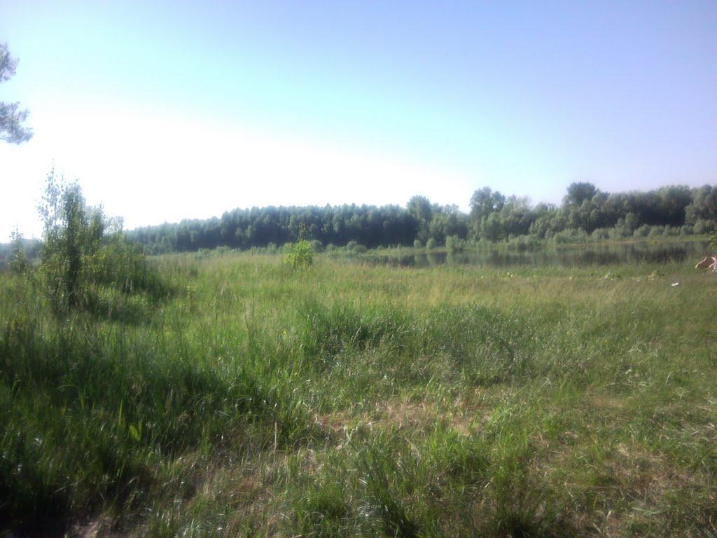Новосілки з panoramio.com - Новоселки