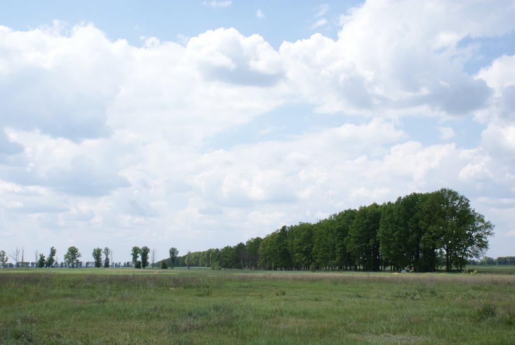 Бакаївка з panoramio.com - Бакаївка