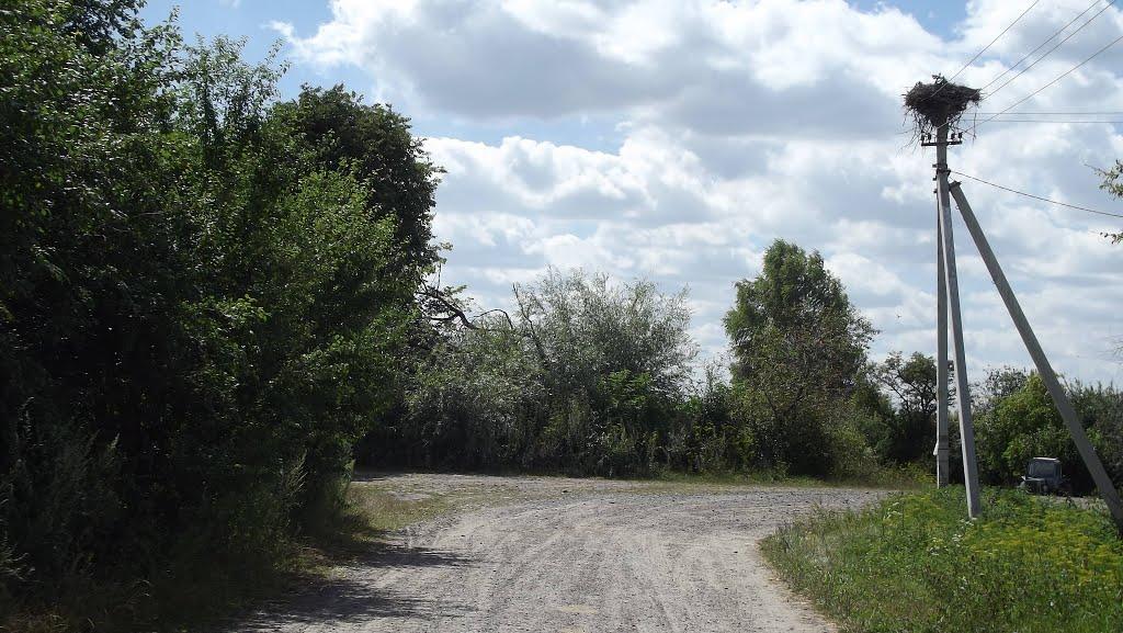 Яблунівка з panoramio.com - Яблунівка