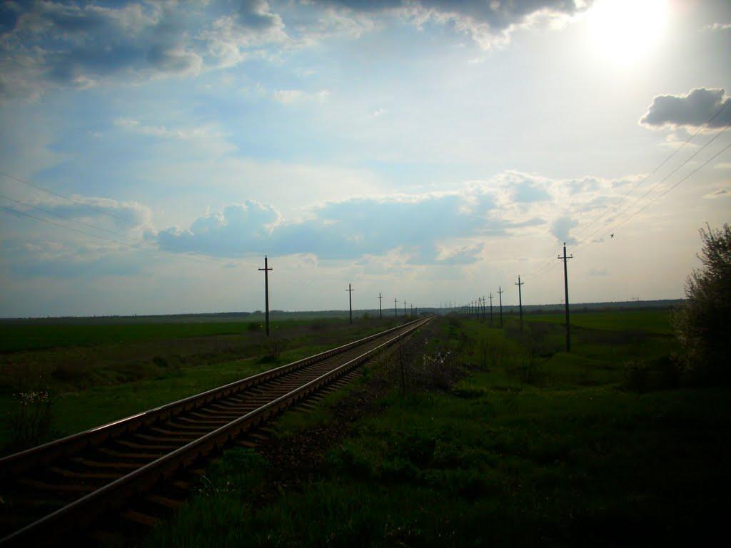 Наливайкове з panoramio.com - Наливайкове