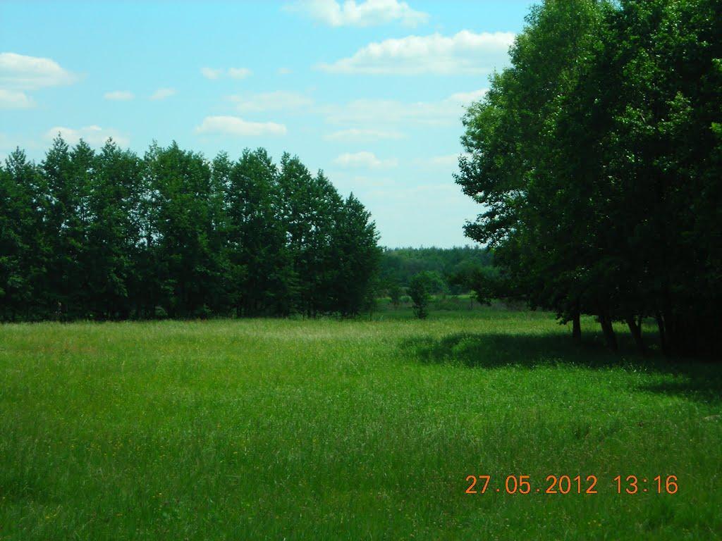 Рокитне з panoramio.com - Рокитне