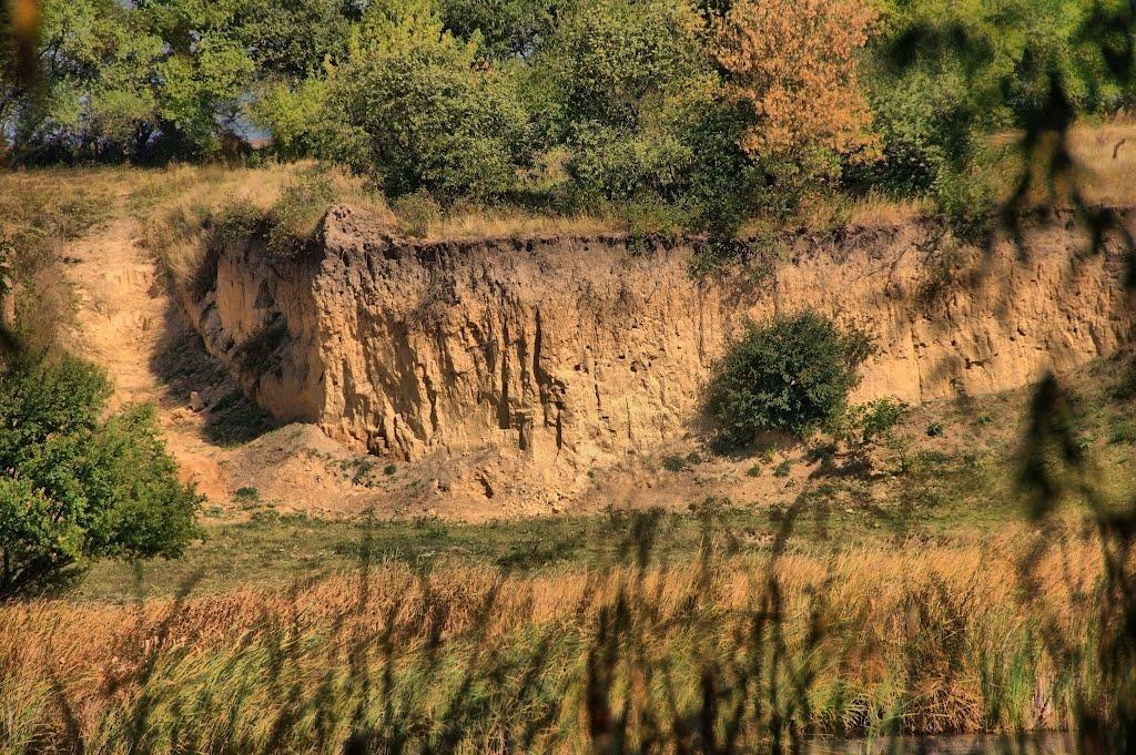 Лісове з panoramio.com - Лісове