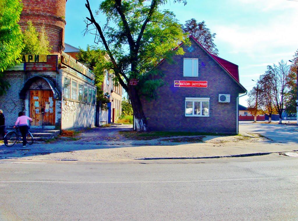 Димер з panoramio.com - Дымер