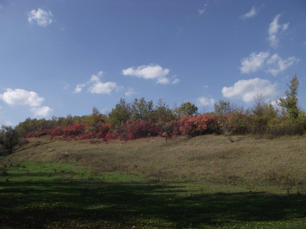 Артемівськ з panoramio.com (ч.2) - Артемівськ