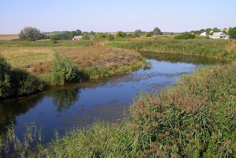 Почино-Софіївка з panoramio.com - Почино-Софіївка