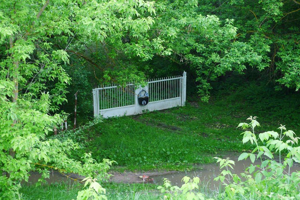 Перешпа з panoramio.com - Перешпа