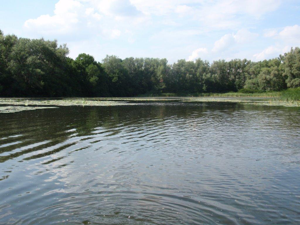 Кияшки з panoramio.com - Kyyashky