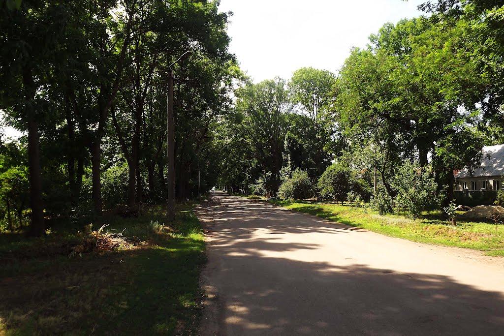 Новомиргород з panoramio.com - Novomyrhorod