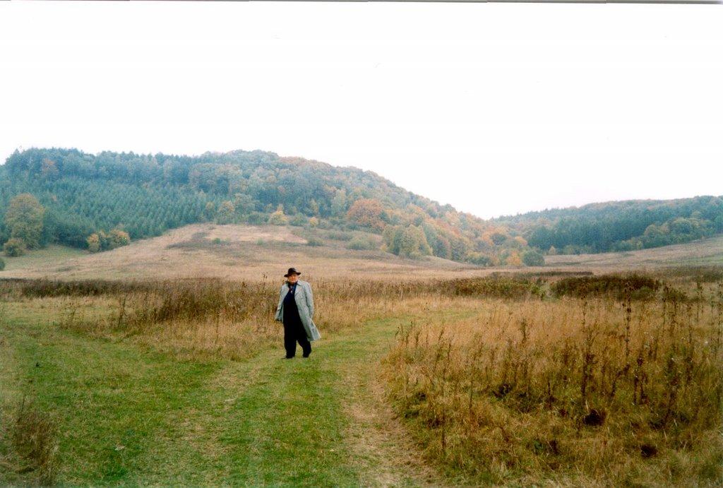 Видра з panoramio.com - Видра