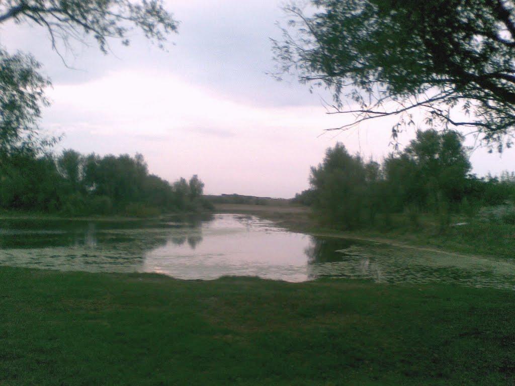 Дмитрівка з panoramio.com - Дмитрівка