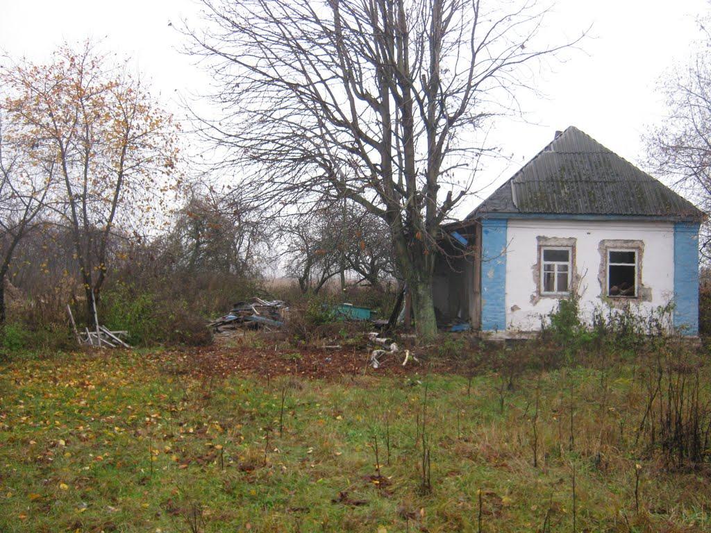 Рогізне з panoramio.com - Рогозное