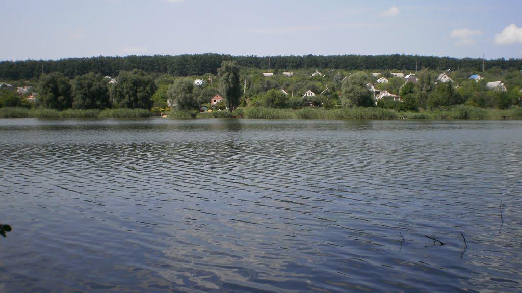 Липці з panoramio.com - Липці