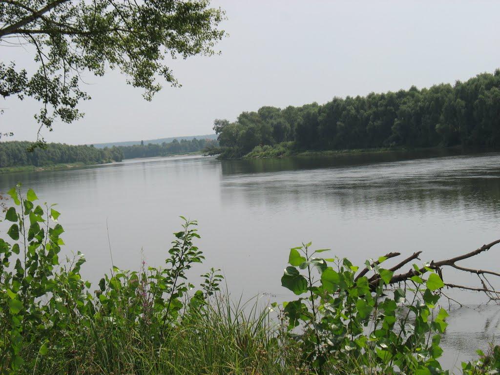 Новосілки з panoramio.com - Новосілки