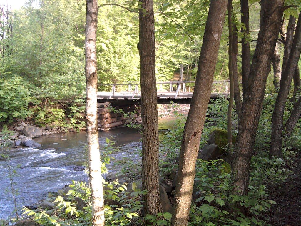 Ільківці з panoramio.com - Ільківці