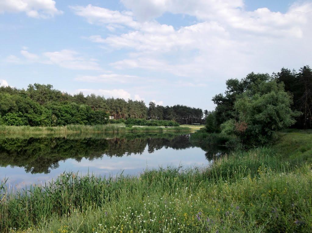 Орлівщина з panoramio.com - Орловщина