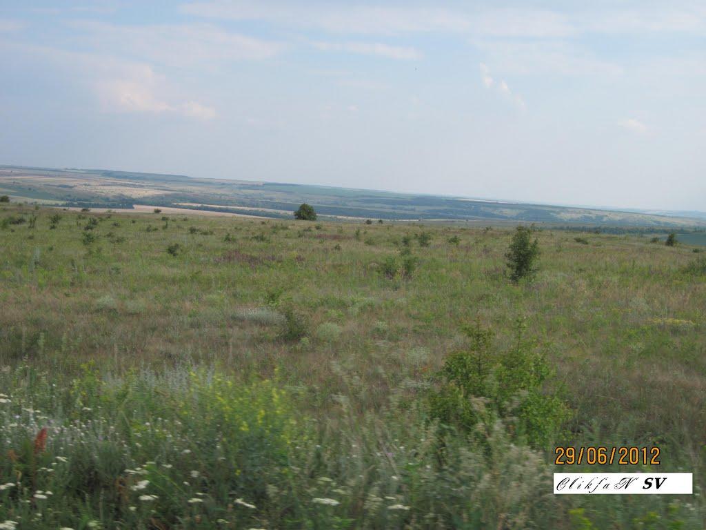 Дмитрівка з panoramio.com - Dmytrivka