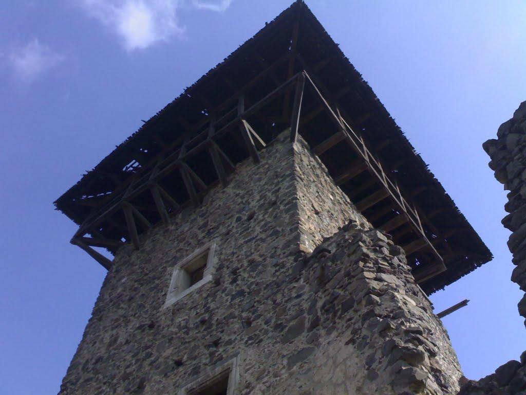 Кам'яниця з panoramio.com - Каменица