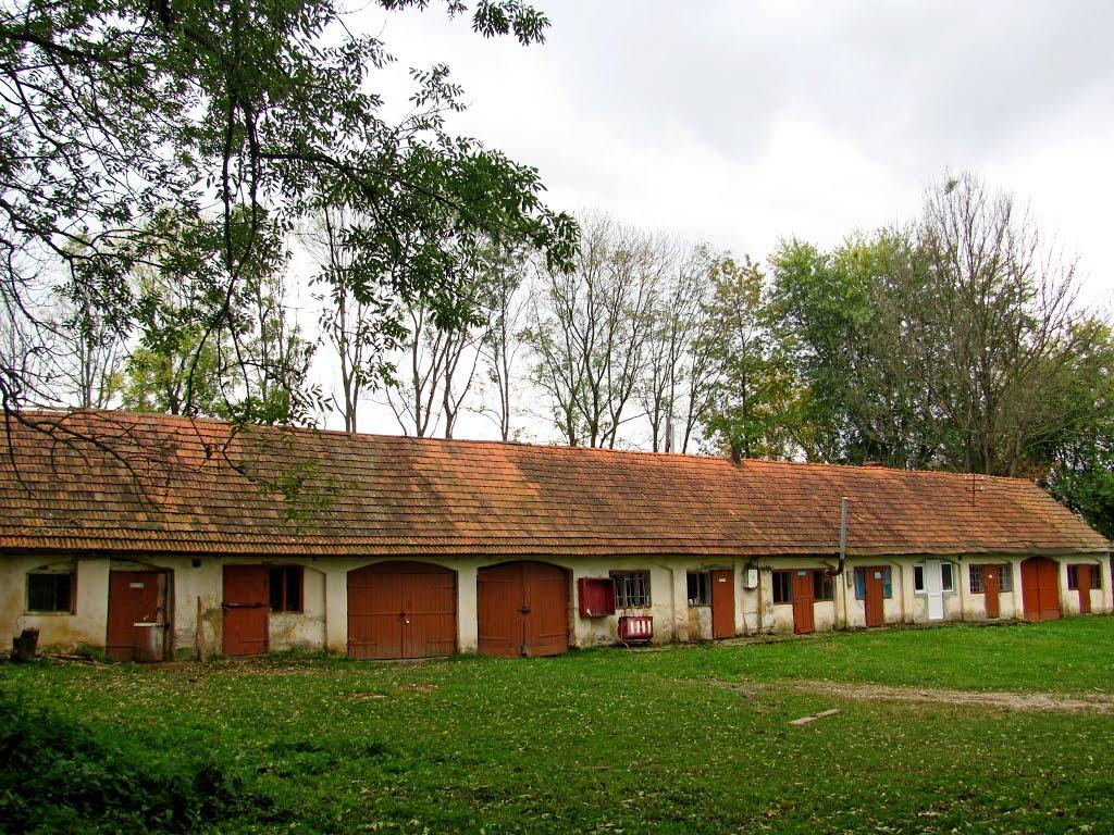 Малинів з panoramio.com - Малинів