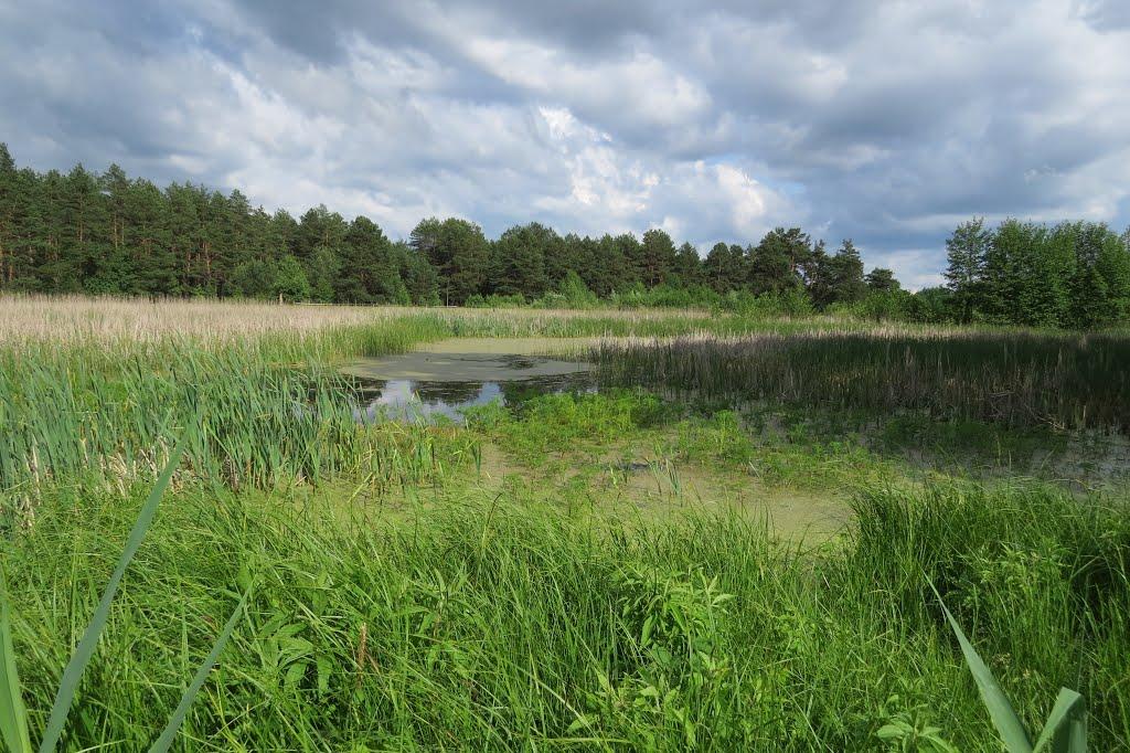 Софіївка з panoramio.com - Софиевка