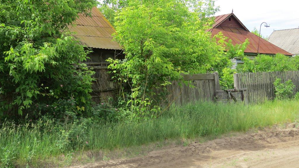 Софіївка з panoramio.com - Софиевка