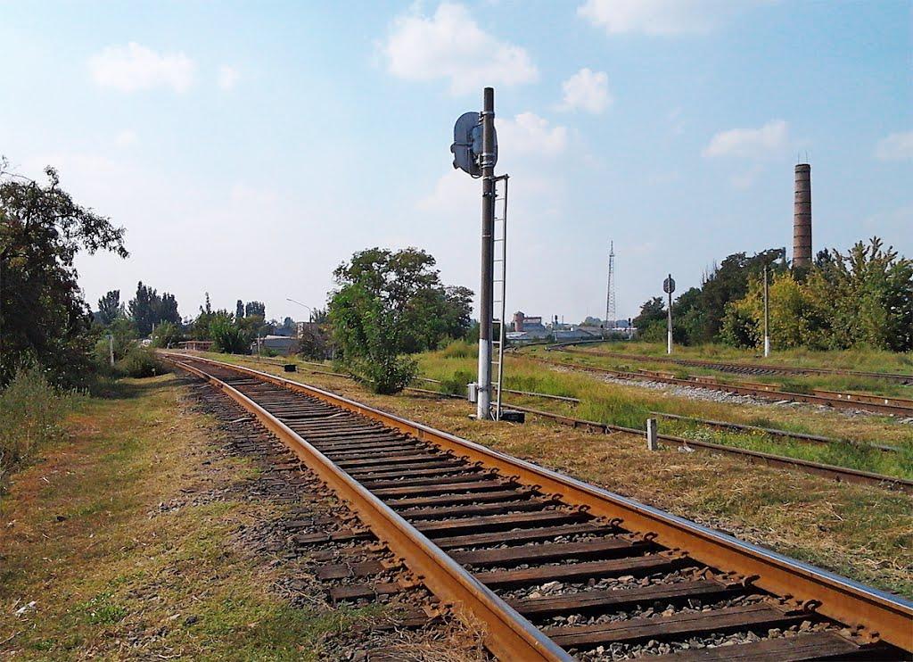 Климець з panoramio.com - Климець