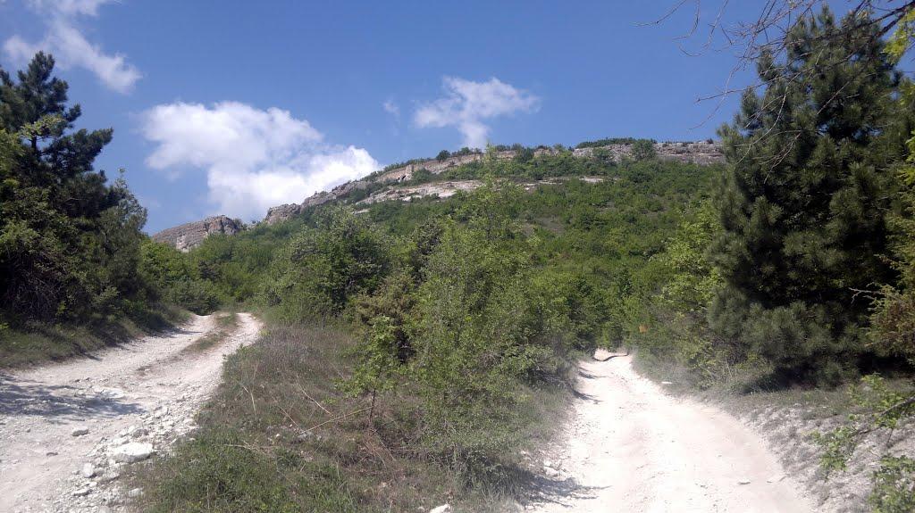 Велике Садове з panoramio.com - Velyke Sadove