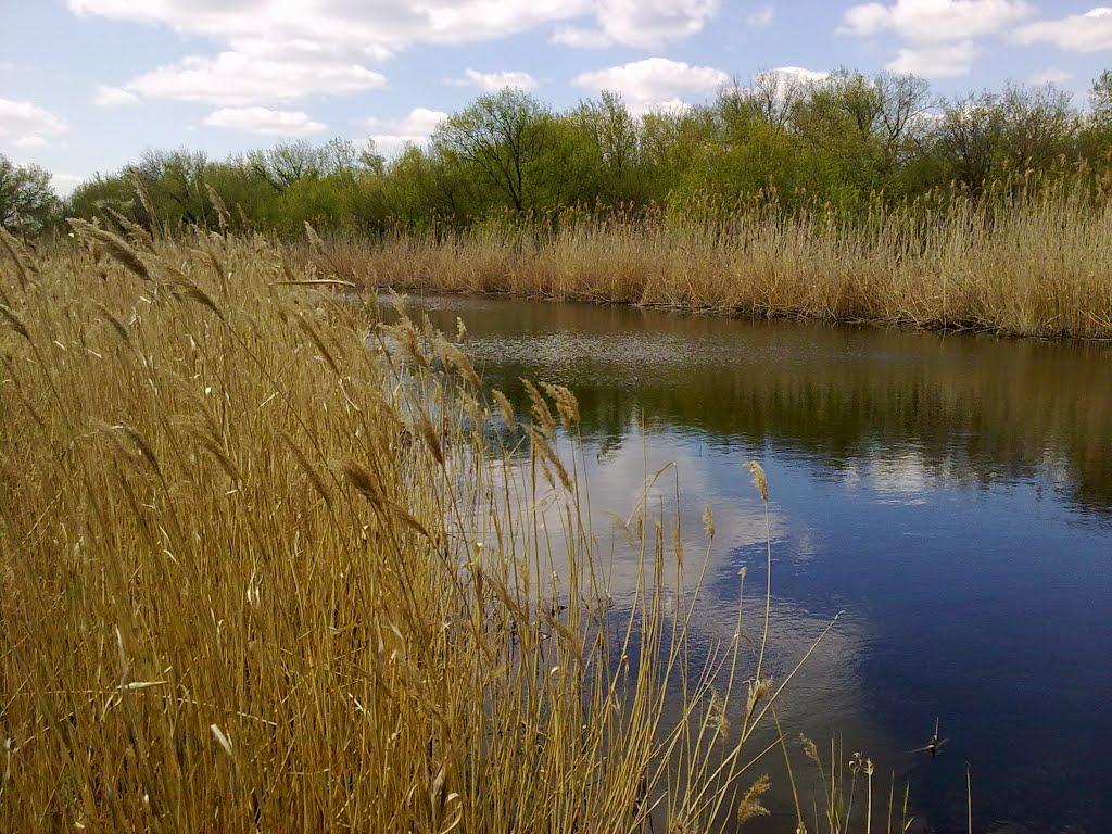 Петропавлівка з panoramio.com - Петропавлівка