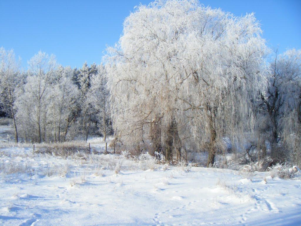 Верхоли з panoramio.com - Верхолы