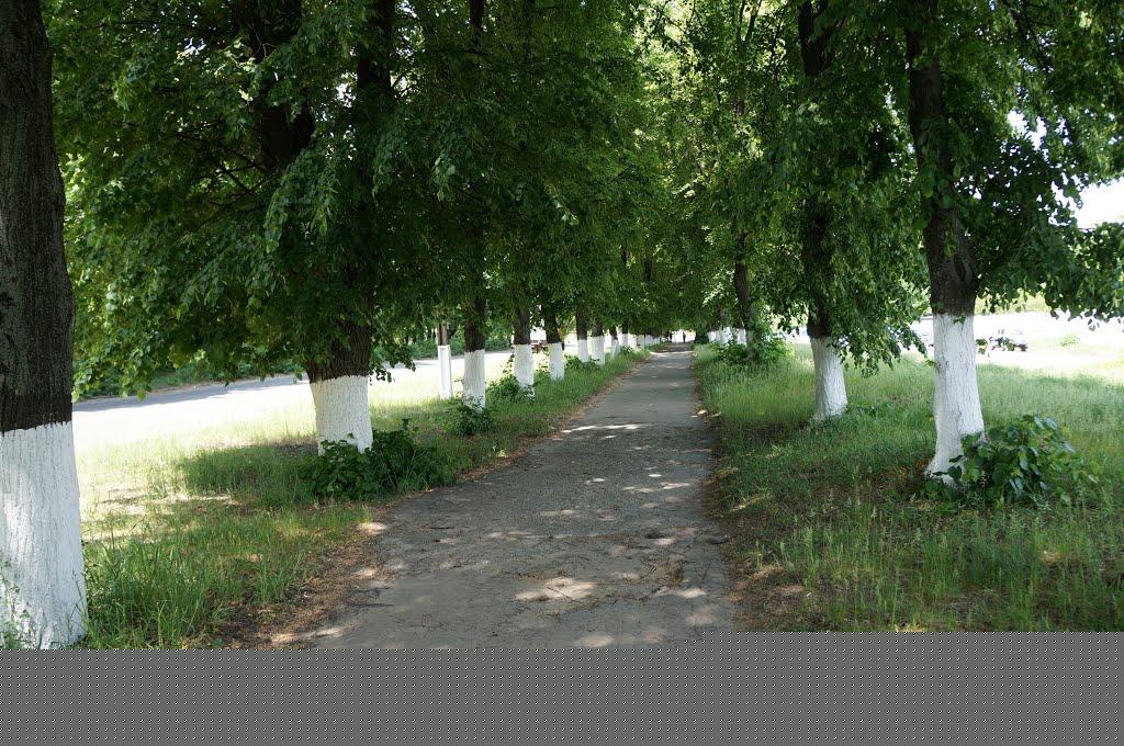 Малин з panoramio.com - Малин