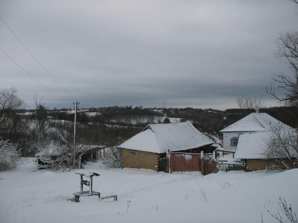 Кам'яне з panoramio.com - Кам'яне