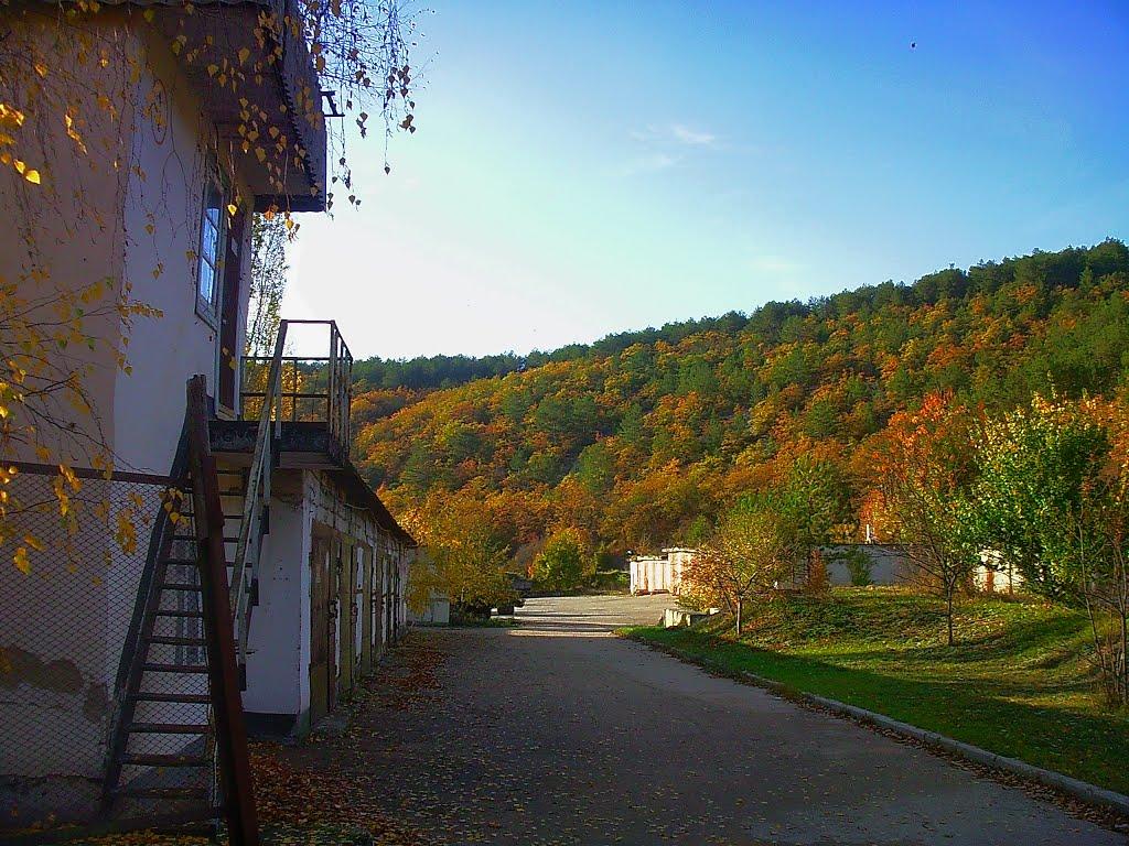 Голубинка з panoramio.com - Голубинка