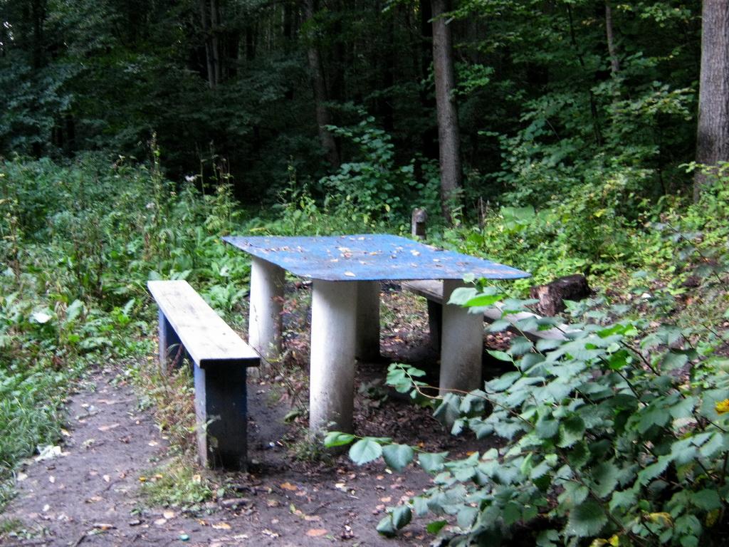 Вакалівщина з panoramio.com - Вакаловщина