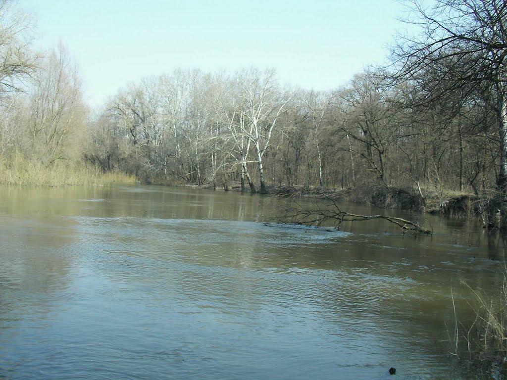 Юрки з panoramio.com - Юрки