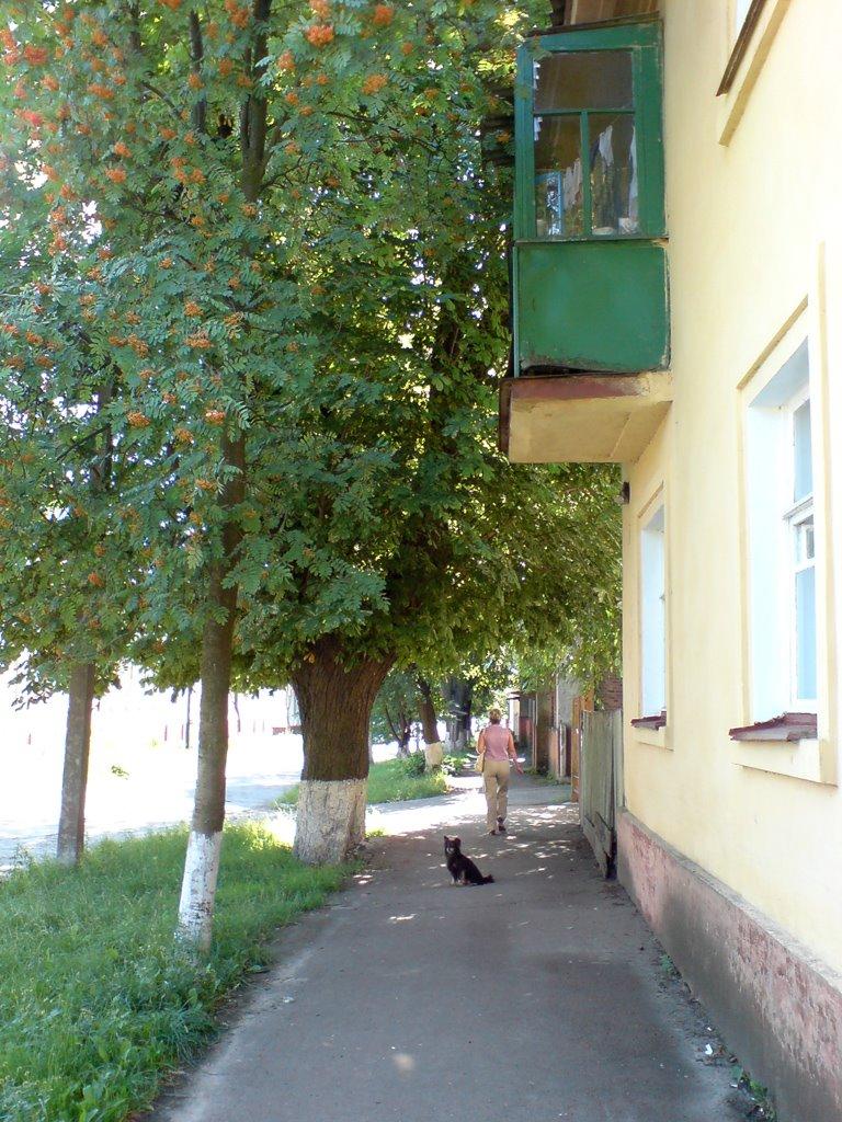 Прилуки з panoramio.com - Прилуки