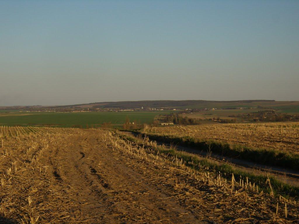 Заріцьк з panoramio.com - Заріцьк