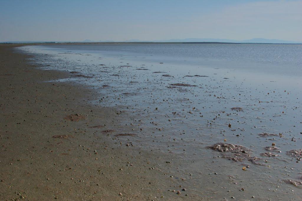 Львове з panoramio.com - Львове